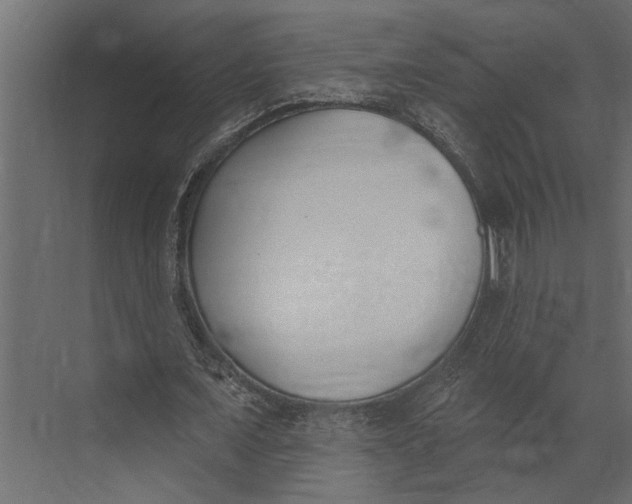 X0000073440675200608181213