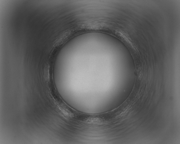 X0000073440685200608181213