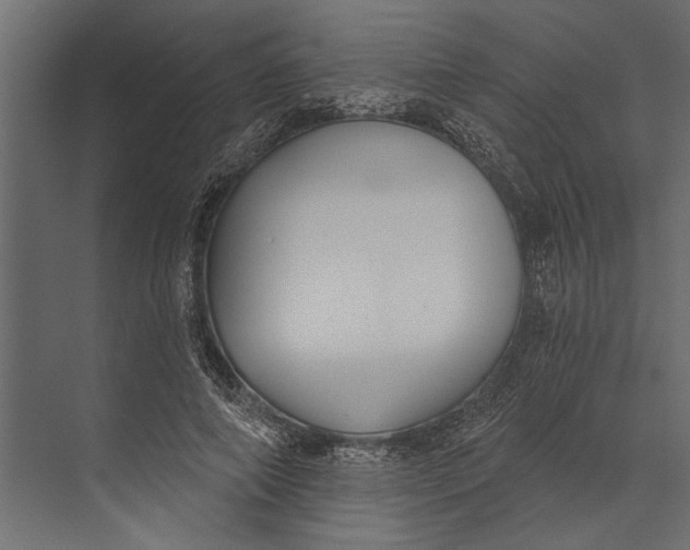 X0000073440690200608181213
