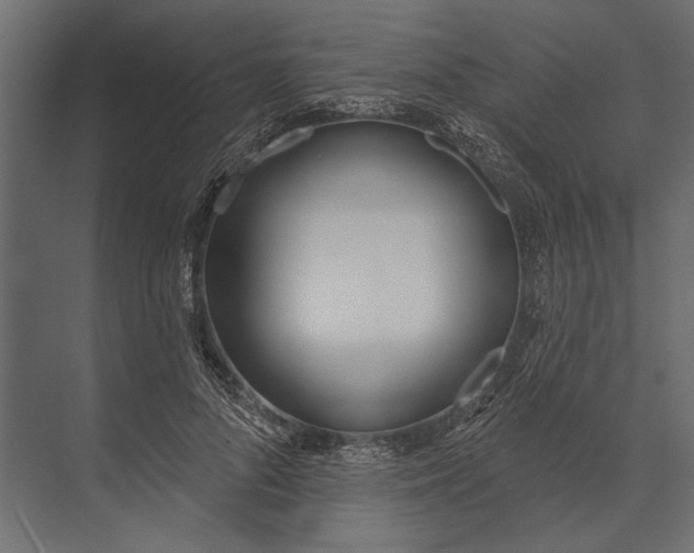 X0000073440696200608181213