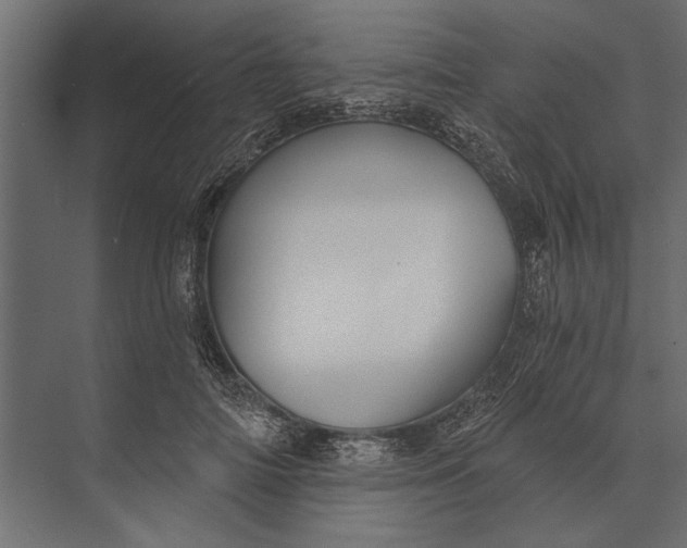 X0000073440698200608181213