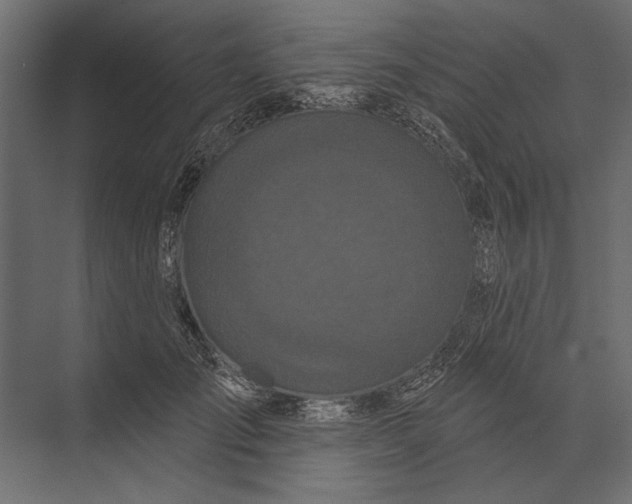 X0000073440701200608181213