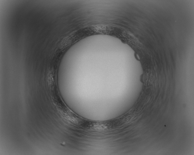 X0000073440702200608181213