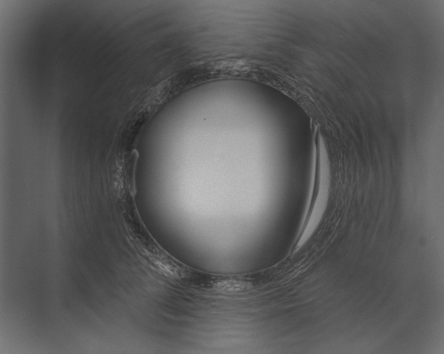 X0000073440708200608181213