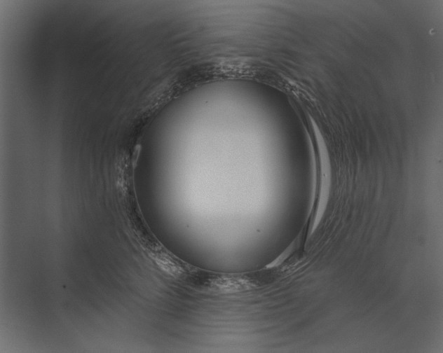 X0000073440712200608181213