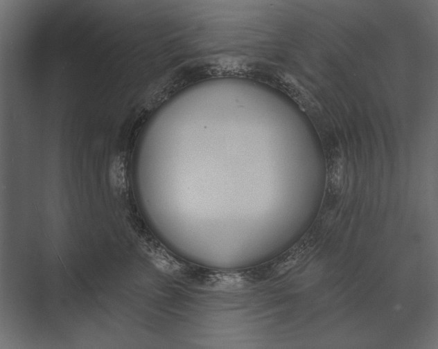 X0000073440715200608181213