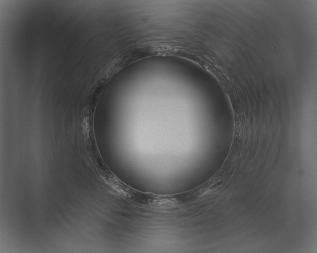 X0000073440716200608181213