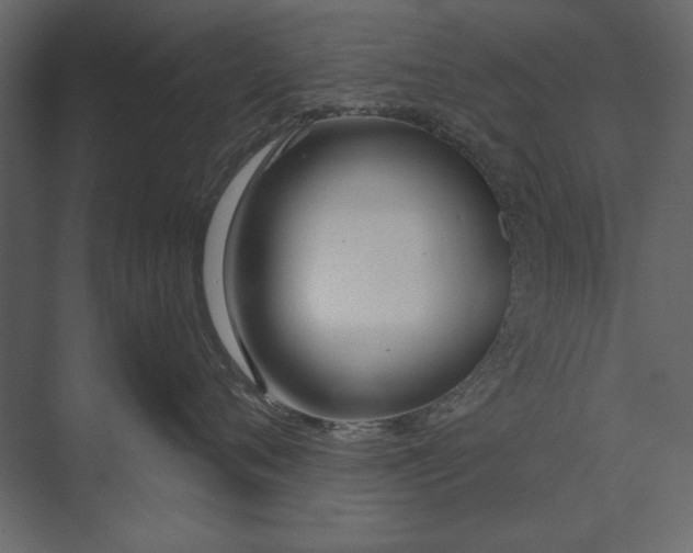 X0000073440720200608181213