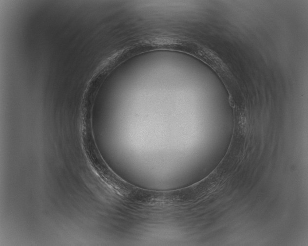 X0000073440732200608181212