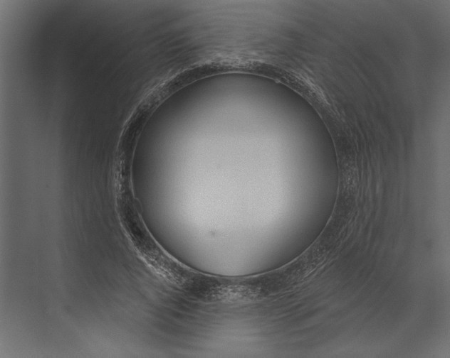 X0000073440736200608181212