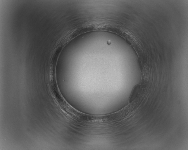 X0000073440740200608181212