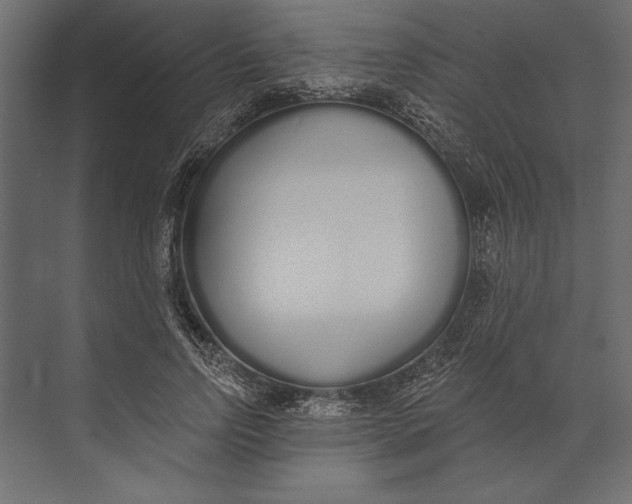 X0000073440742200608181212