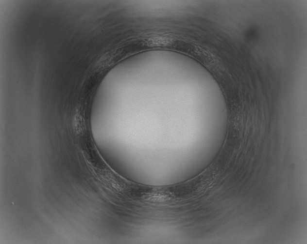 X0000073440743200608181212