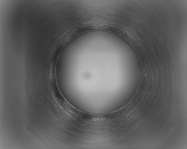 X0000073440744200608181212