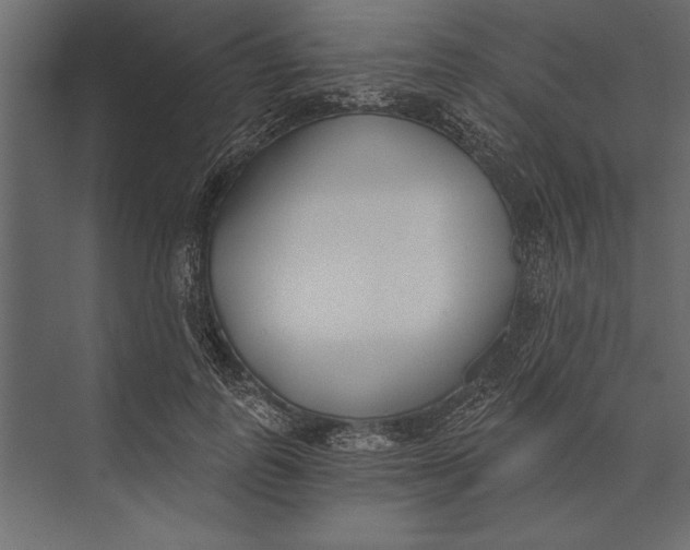 X0000073440747200608181212