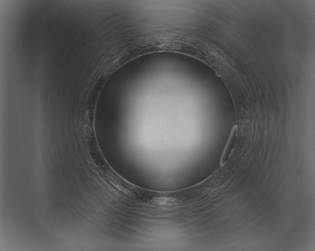 X0000073440748200608181212