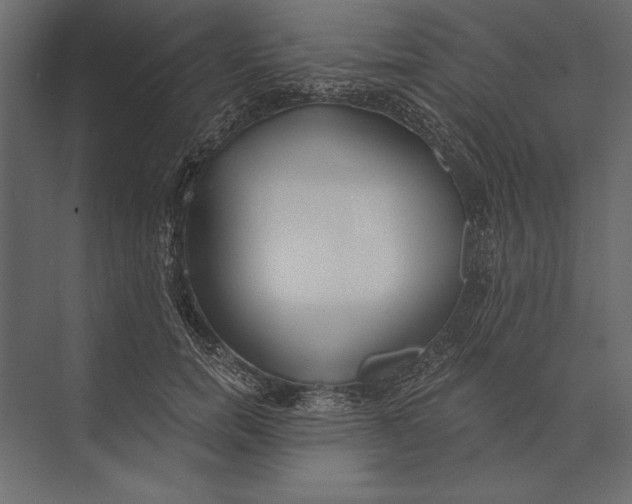 X0000073440750200608181212