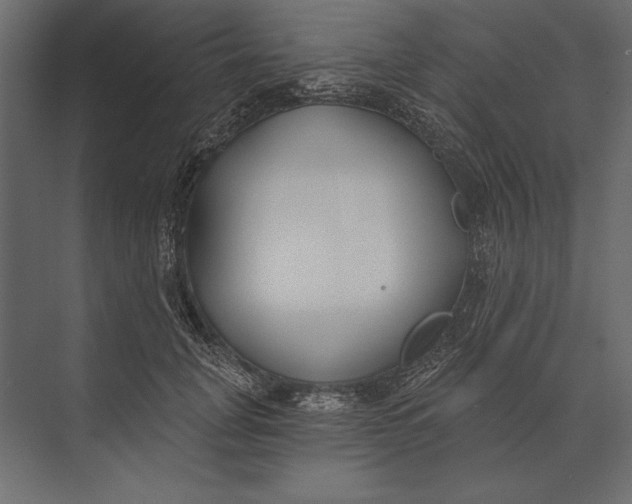 X0000073440751200608181212