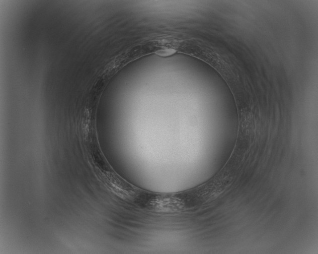 X0000073440752200608181212