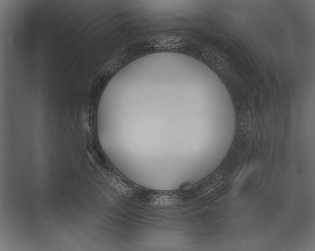 X0000073440755200608181212