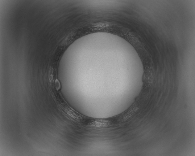 X0000073440758200608181212