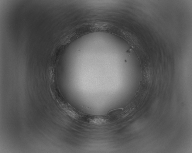 X0000073440759200608181212
