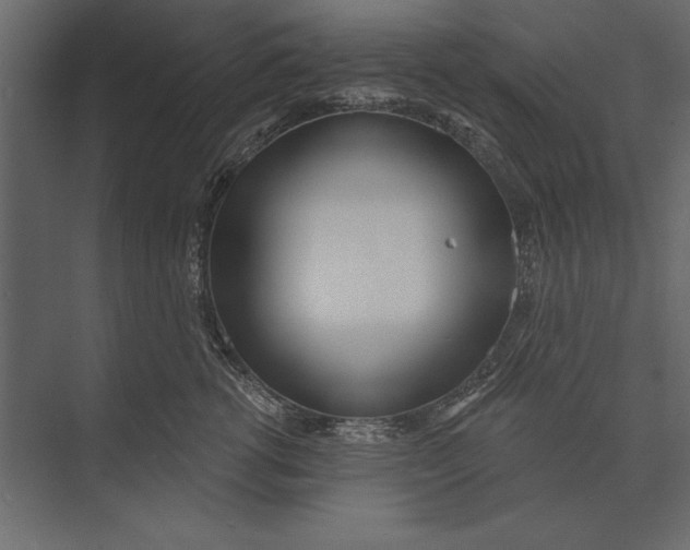 X0000073440762200608181212