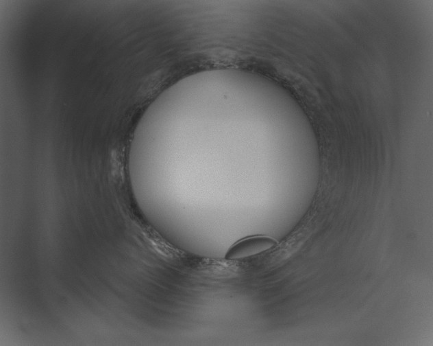 X0000073440768200608181213