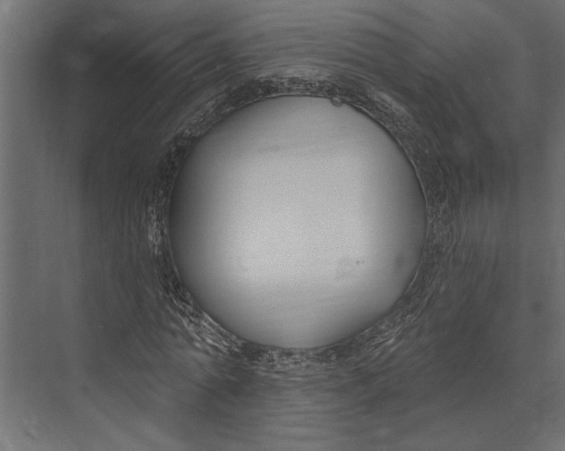 X0000073440774200608181212