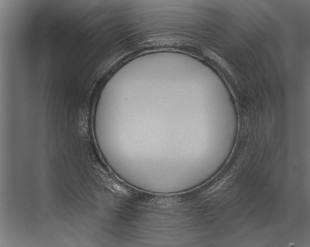 X0000073440778200608181212