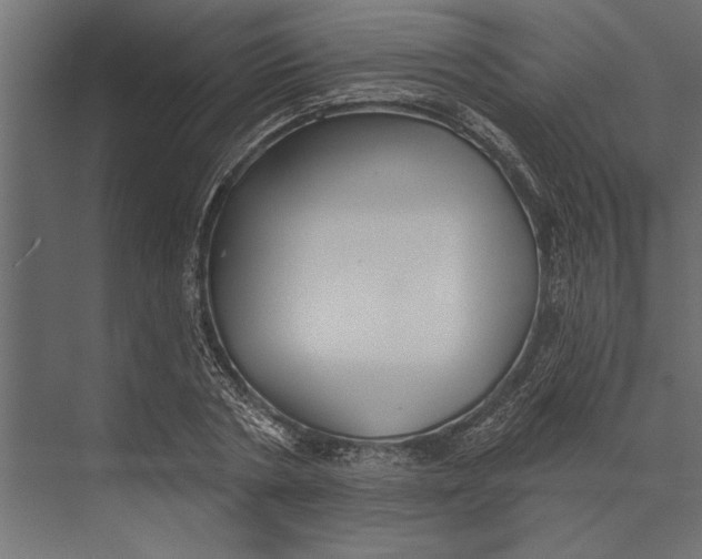 X0000073440786200608181211