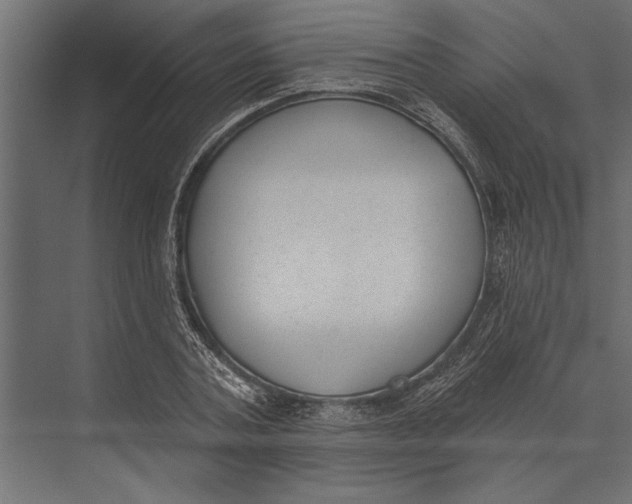 X0000073440787200608181211