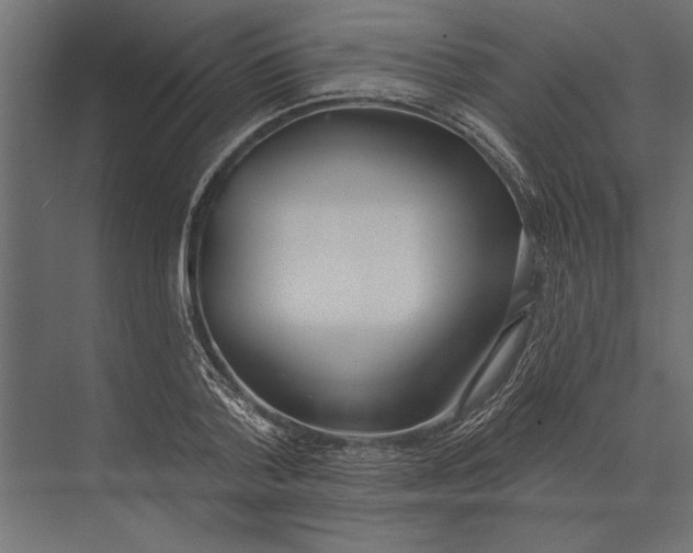 X0000073440788200608181211
