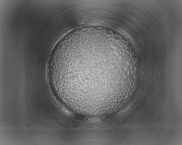 X0000073440798200608181211