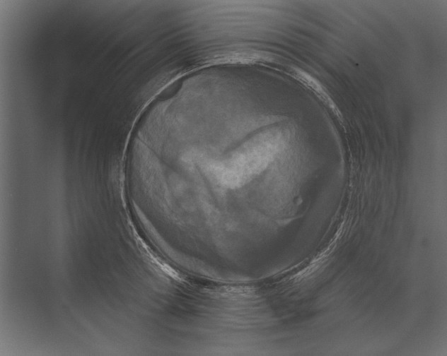 X0000073440802200608181211