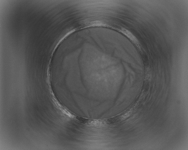 X0000073440806200608181211