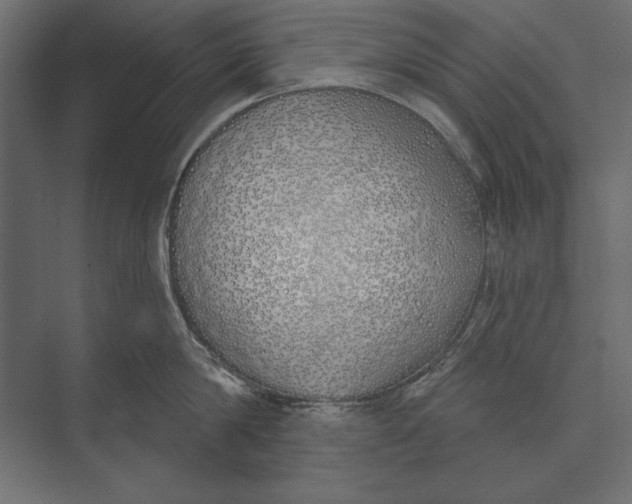 X0000073440814200608181211
