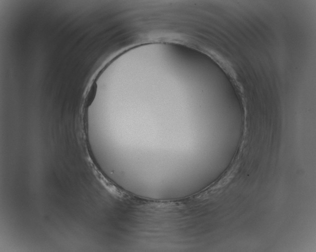 X0000073440816200608181211