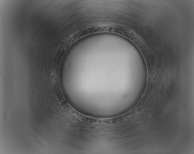 X0000073440821200608181210