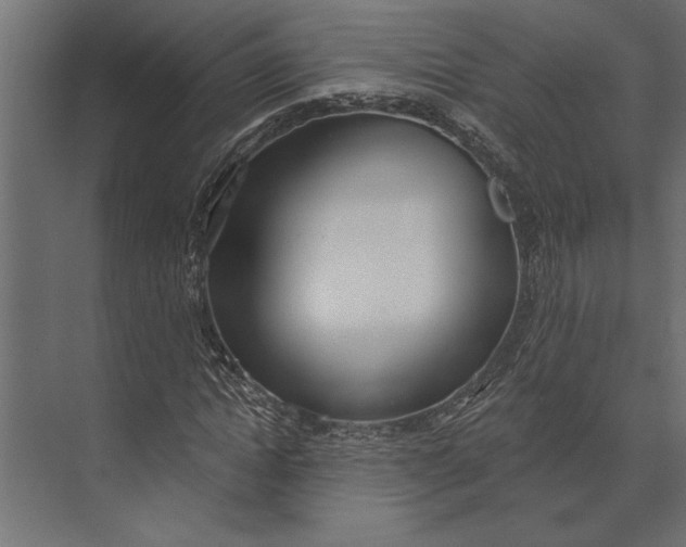 X0000073440822200608181210