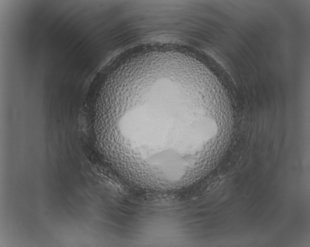 X0000073440823200608181210