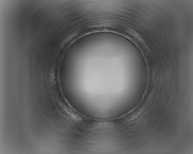 X0000073440826200608181210