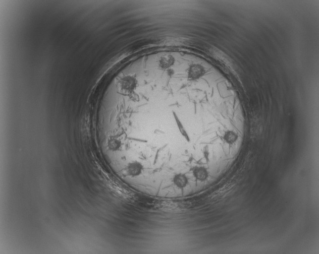 X0000073440827200608181210