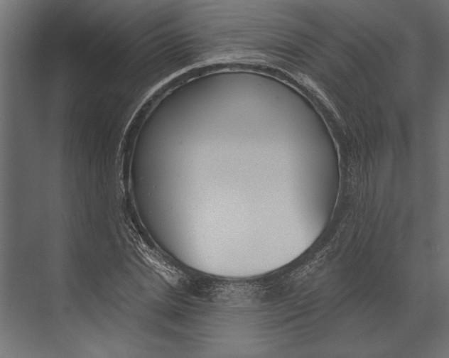 X0000073440830200608181210