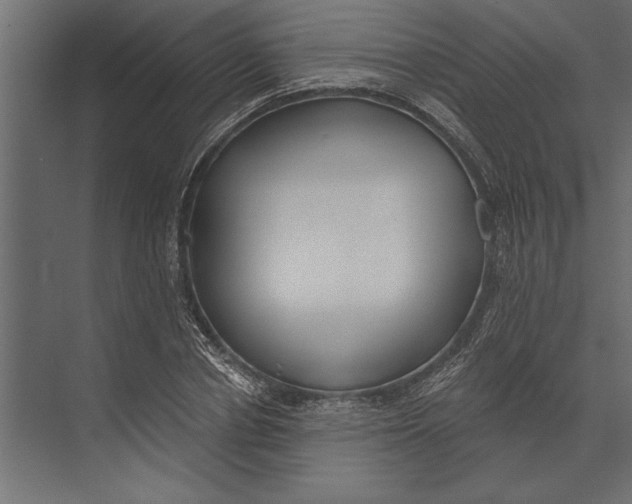 X0000073440834200608181210