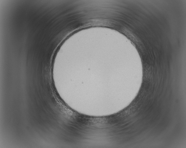 X0000073440836200608181210
