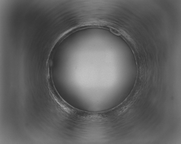 X0000073440838200608181210
