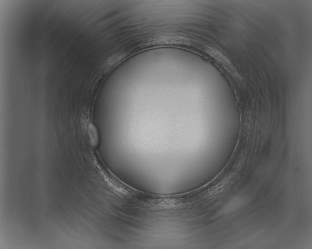 X0000073440841200608181210
