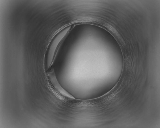 X0000073440842200608181211