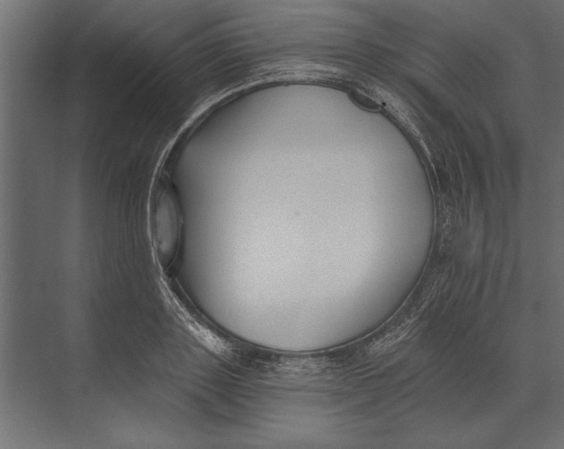 X0000073440843200608181211